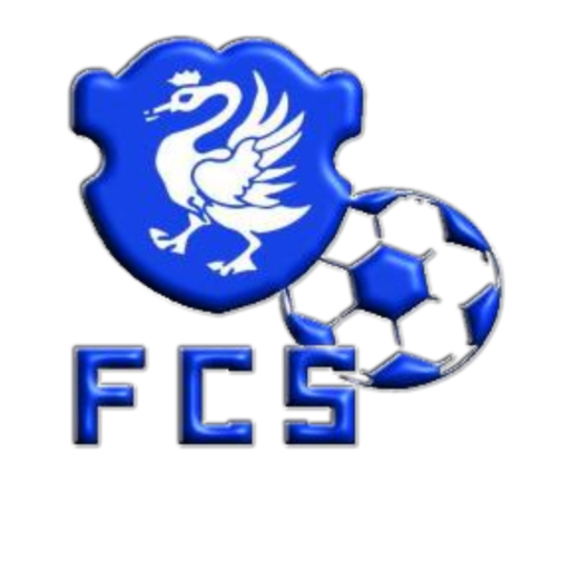 FC SCHWANDEN